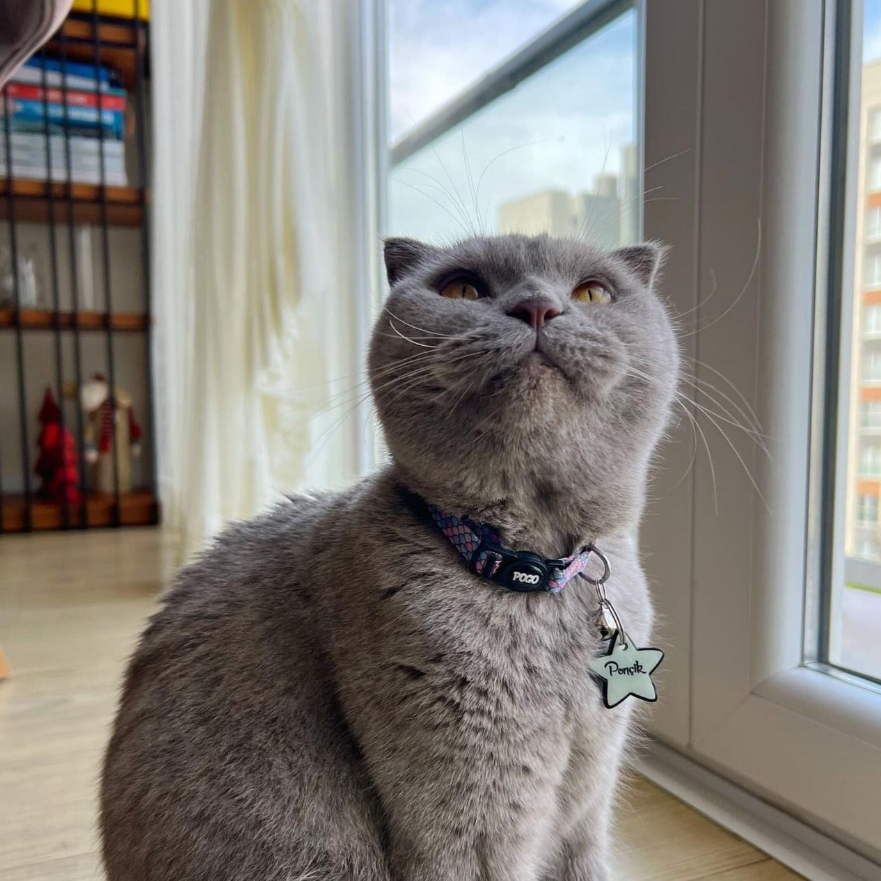 Lumi Yıldız Fosforlu | İsimlik