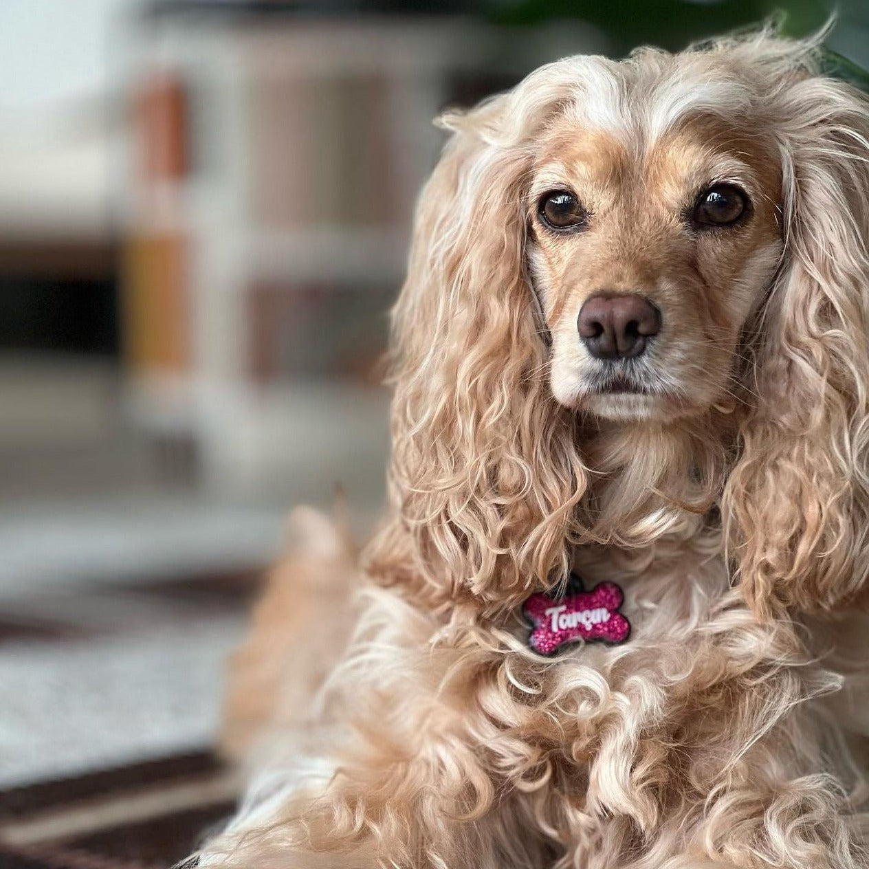 Fuşya Glitter Kemik | İsimlik