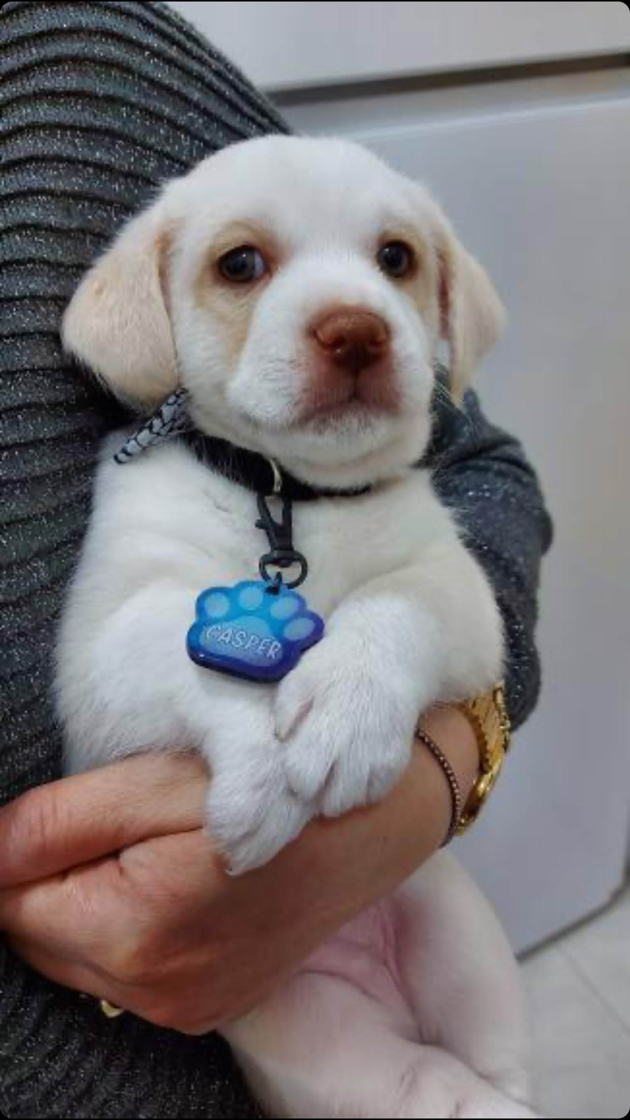 Mavi Uzay Desenli Pati