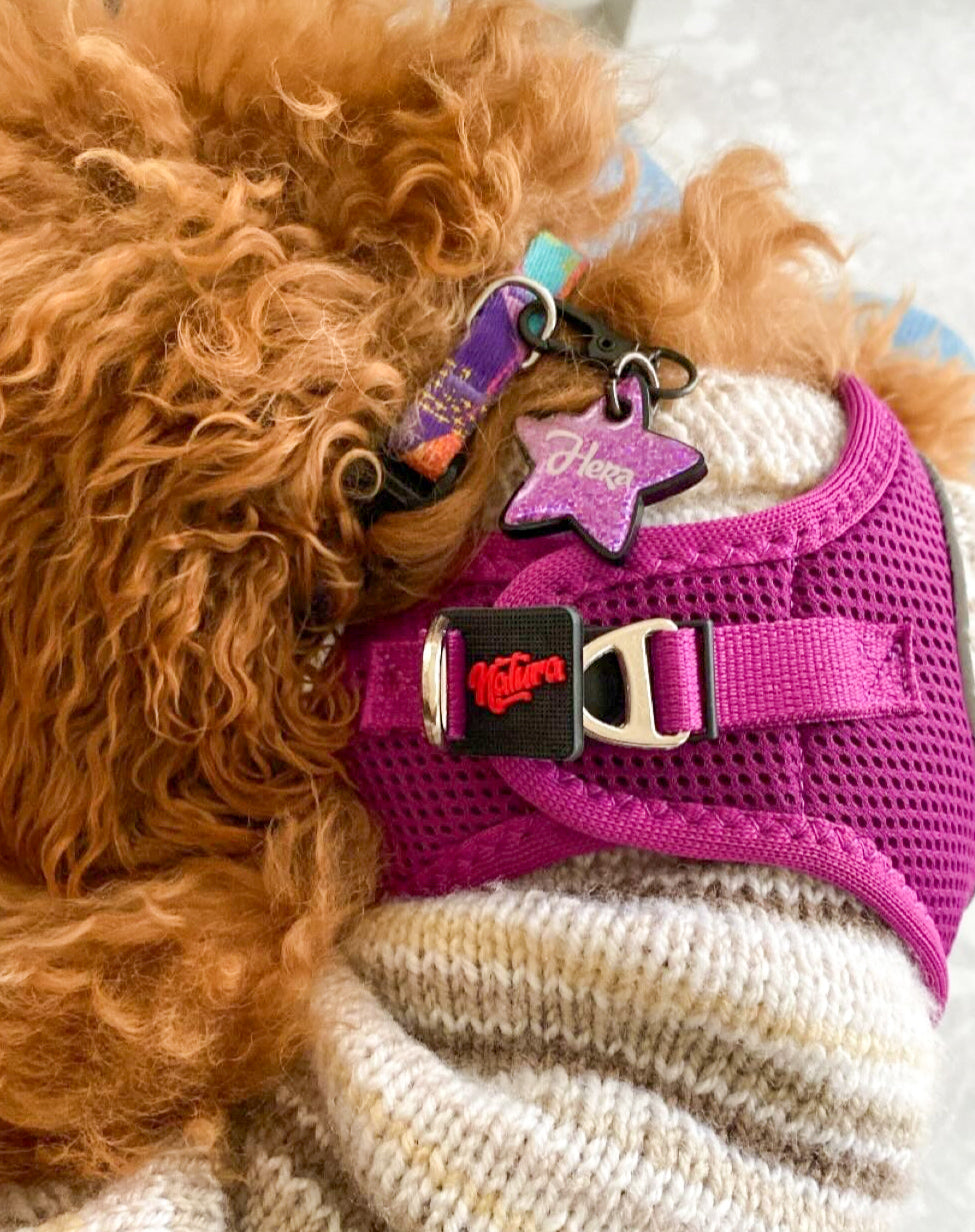 Peace and Love | Dog Collar
