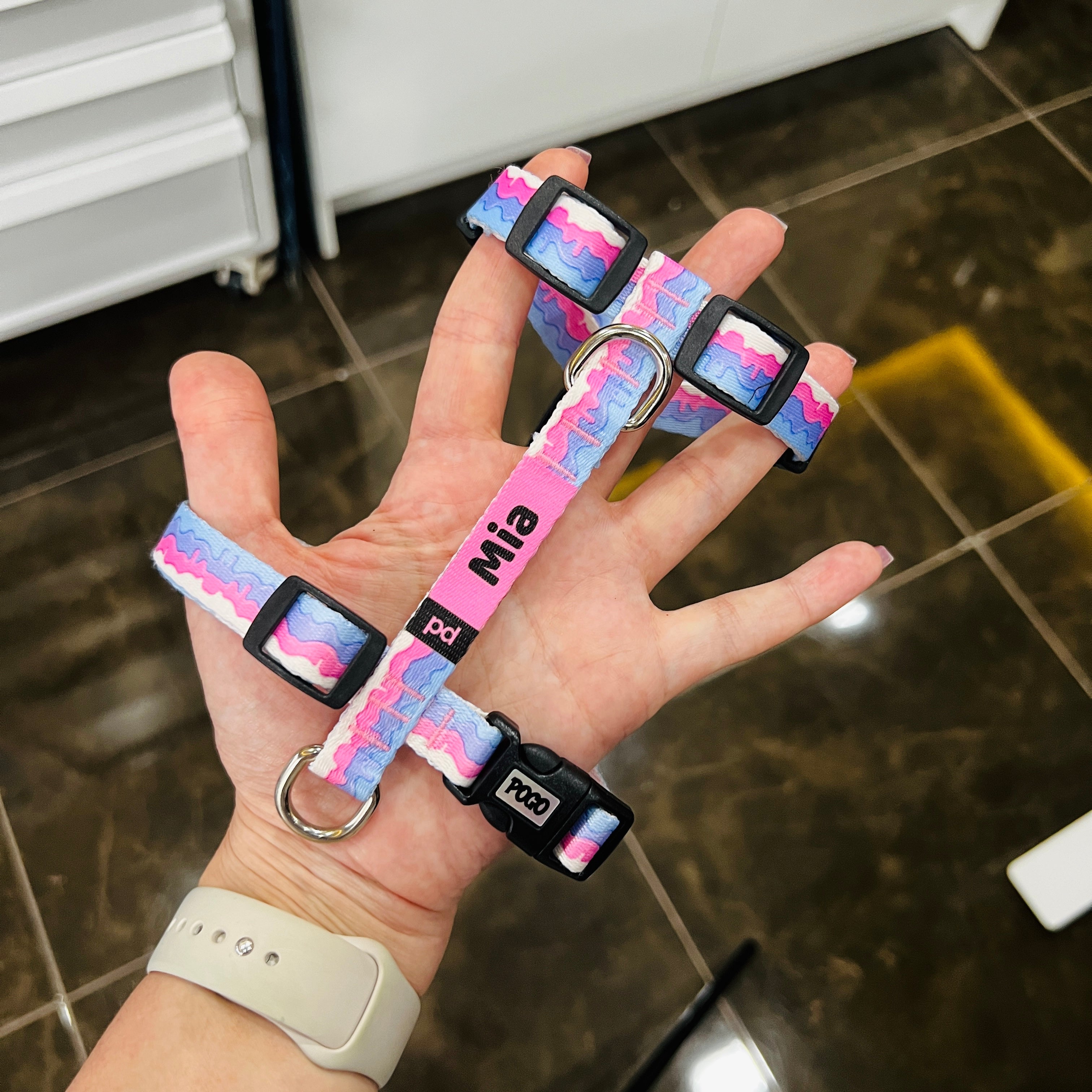 Gelato | Köpek Göğüs Tasması