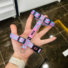 Ducky | Köpek Göğüs Tasması