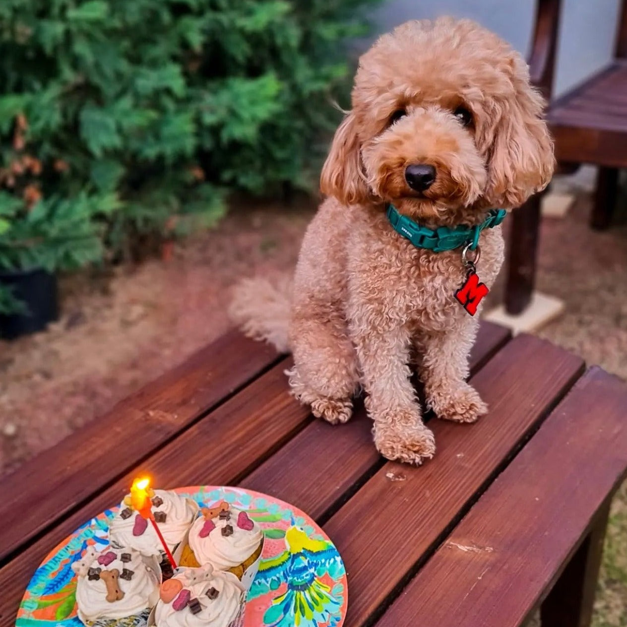 Kırmızı Neon Harf Künyeler | Tüm Harfler