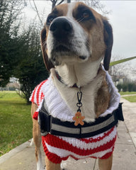 Kurabiye Adam | Yeni Yıl Serisi