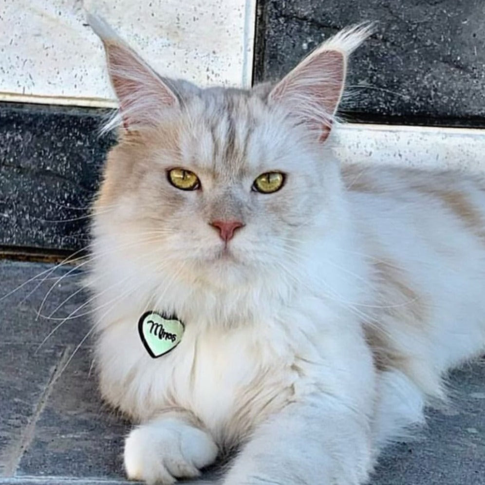 Lumi Kalp Fosforlu | İsimlik