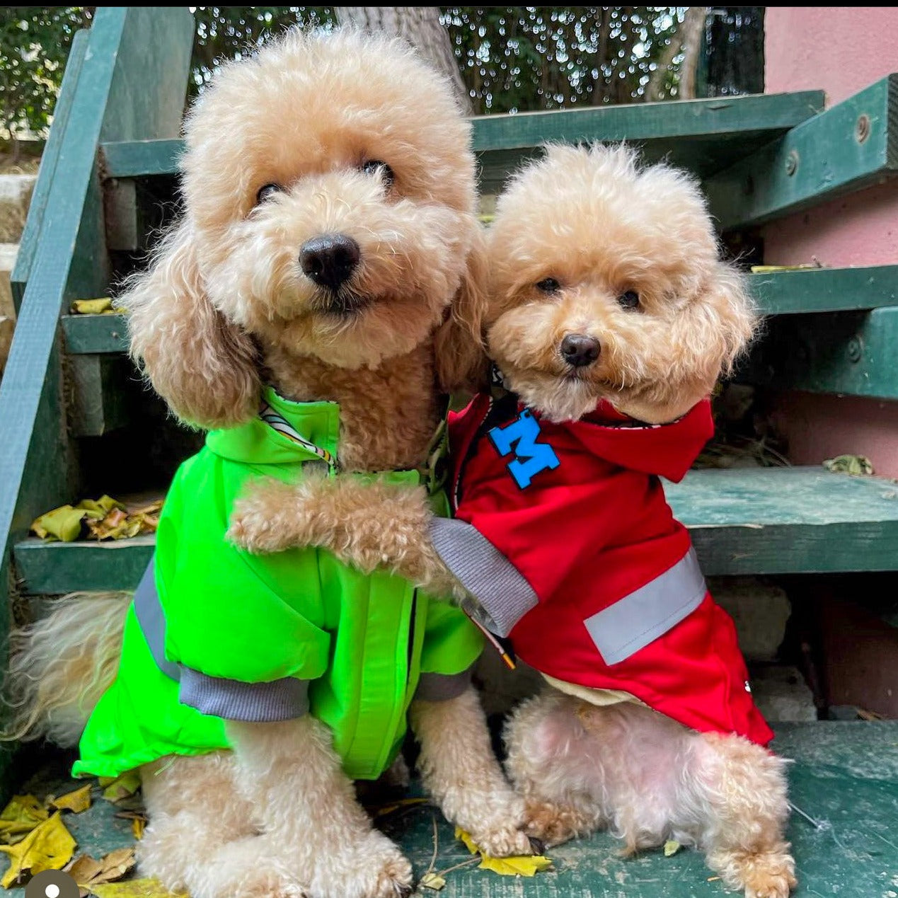 Mavi Neon Harf Künyeler | Tüm Harfler