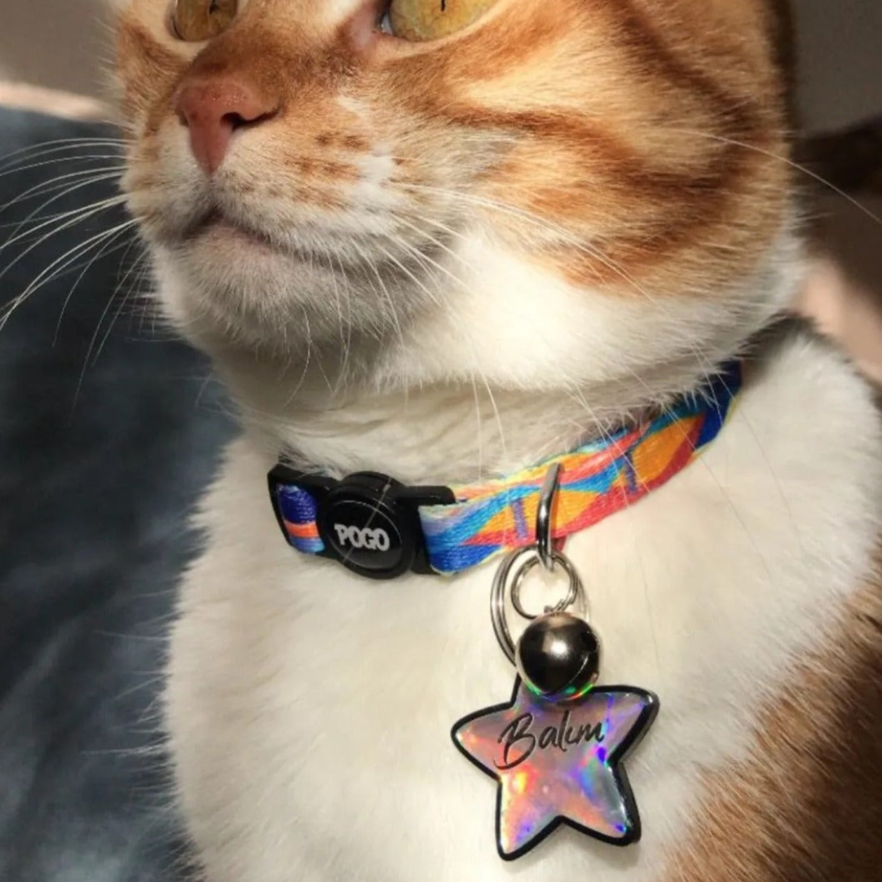 Holographic Yıldız | İsimlik