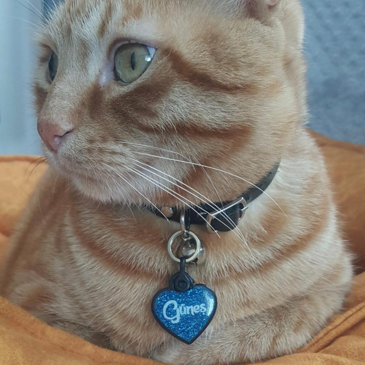 Mavi Glitter Kalp | İsimlik