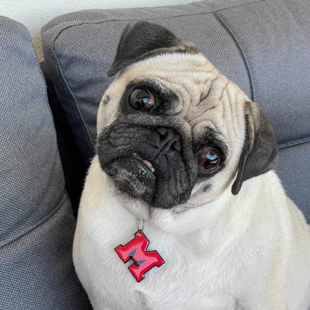 Kırmızı Neon Harf Künyeler | Tüm Harfler