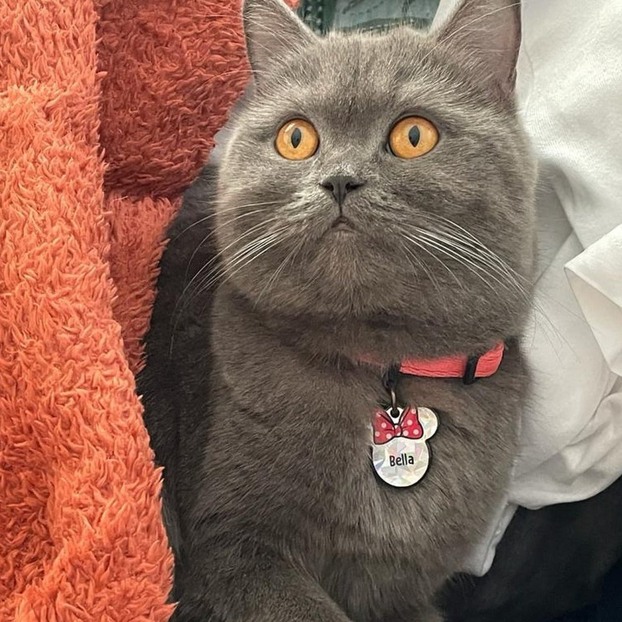 Minnie Hologram | İsimlik