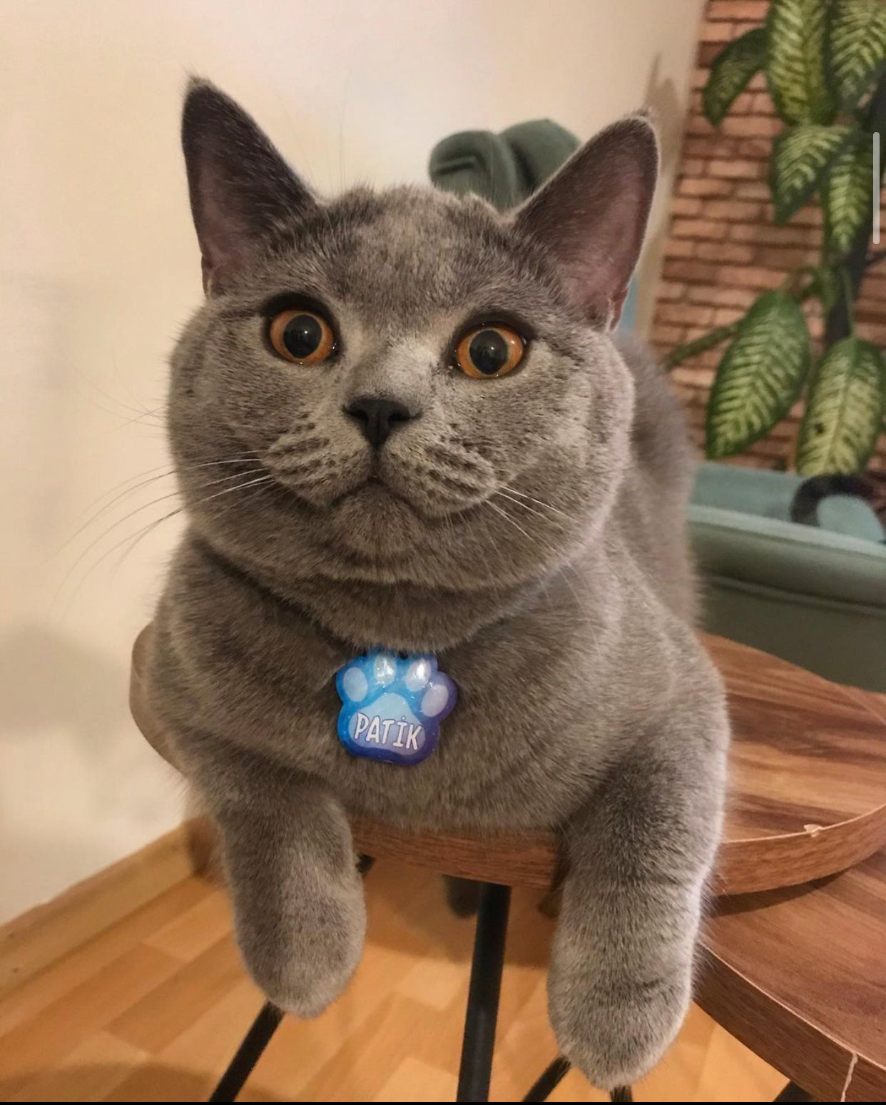 Mavi Uzay Desenli Pati