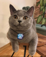 Mavi Uzay Desenli Pati