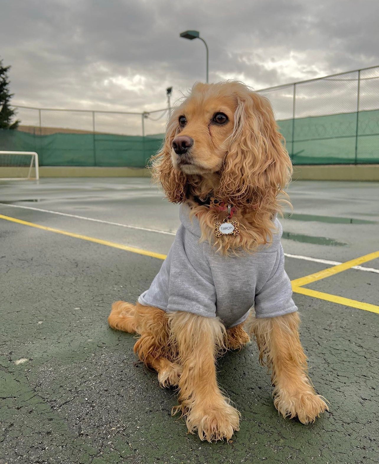 Leopard Kemik | Kedi Köpek İsimlik