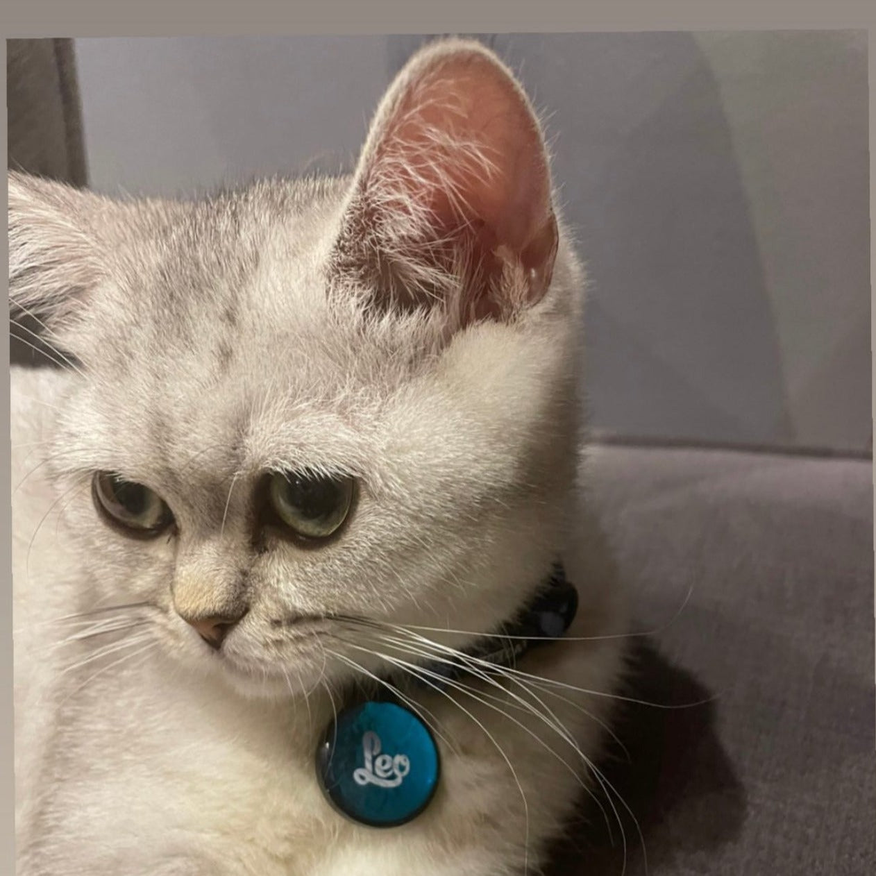 Mavi Metalik Yuvarlak | İsimlik