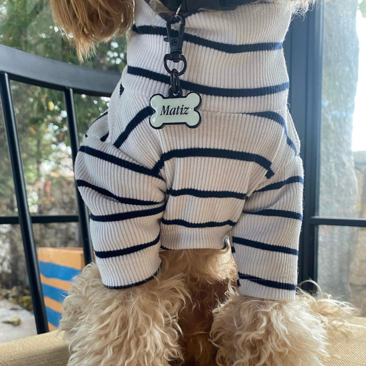 Lumi Kemik Fosforlu | İsimlik