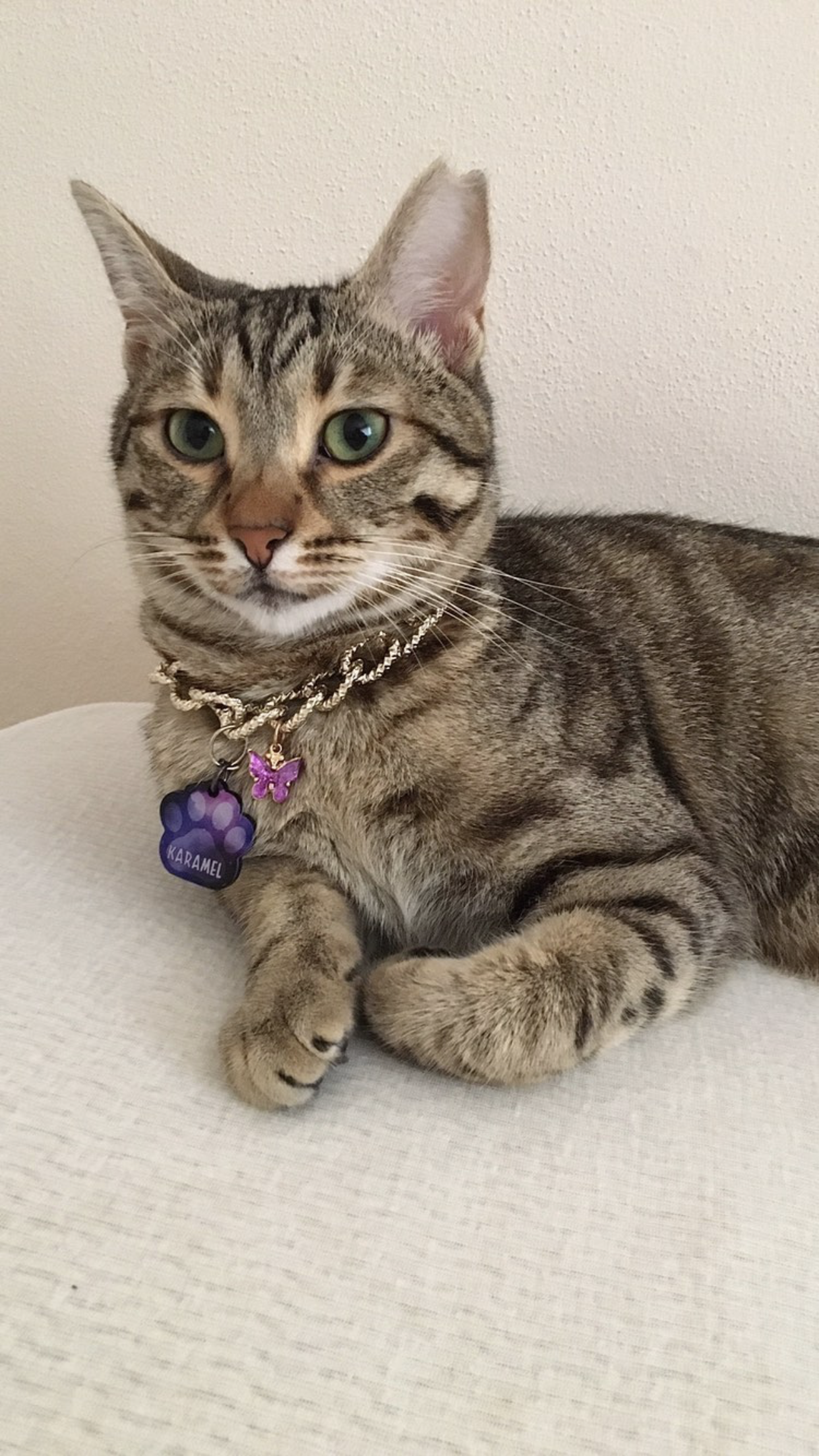 Mor Uzay Desenli Pati