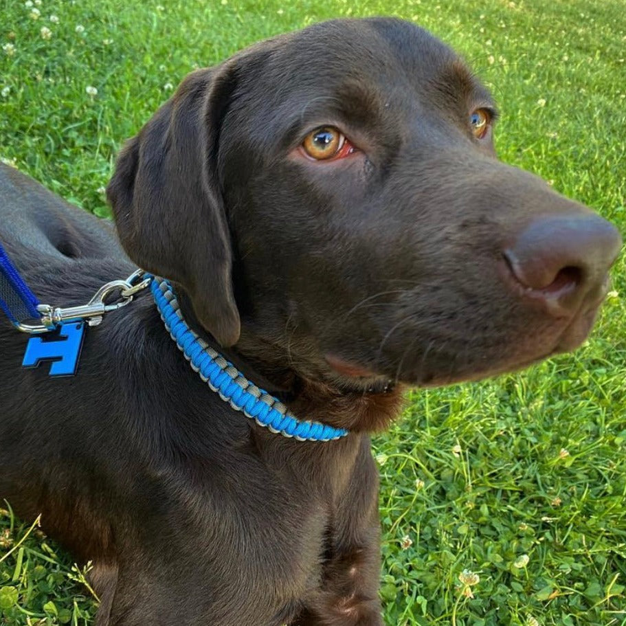 Mavi Neon Harf Künyeler | Tüm Harfler