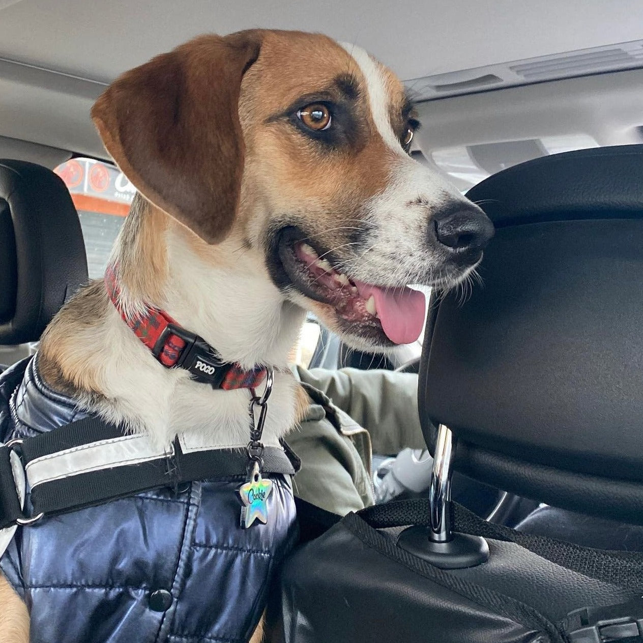 Holographic Yıldız | İsimlik