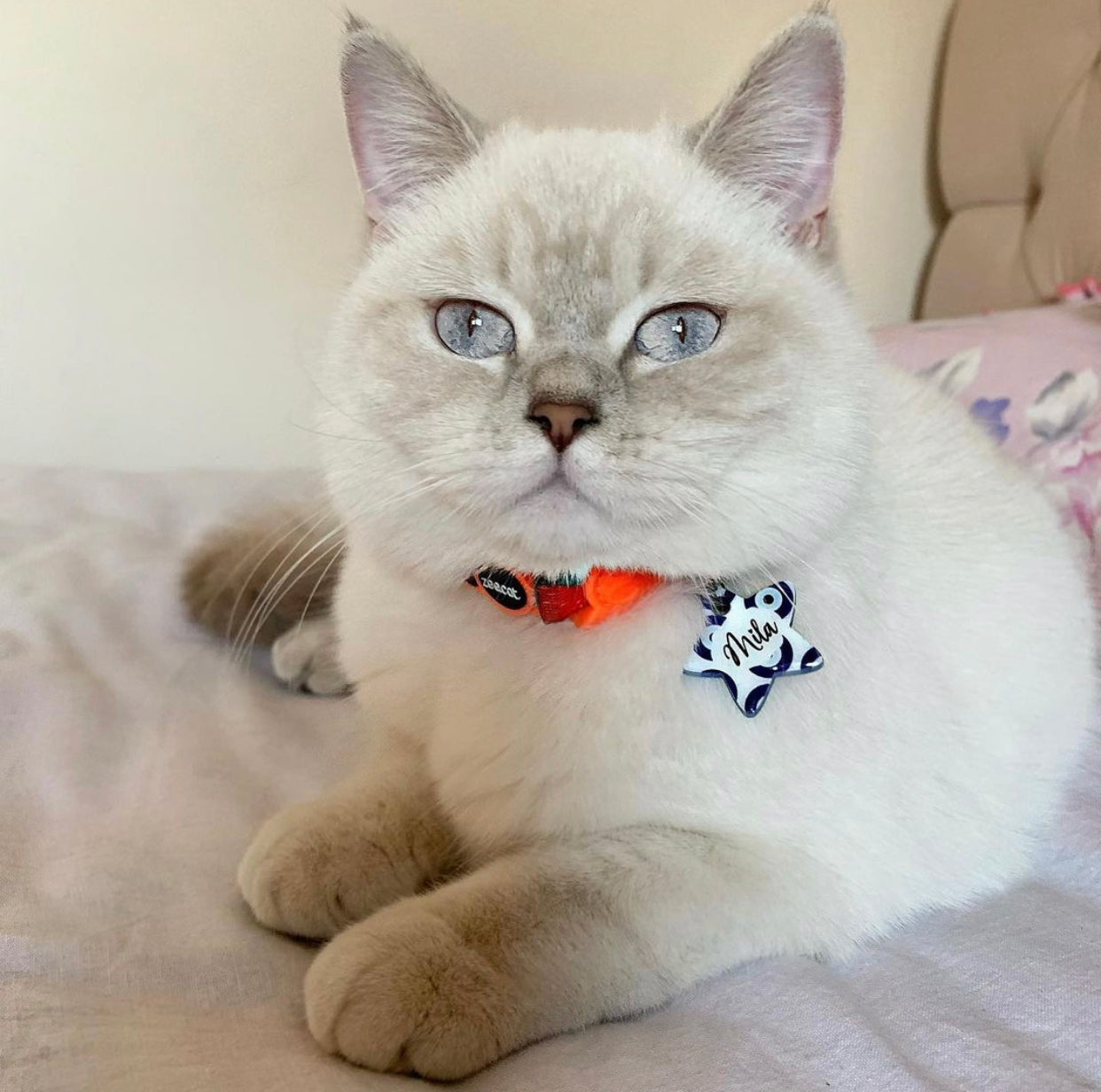 Nazar Boncuğu Desenli Yıldız