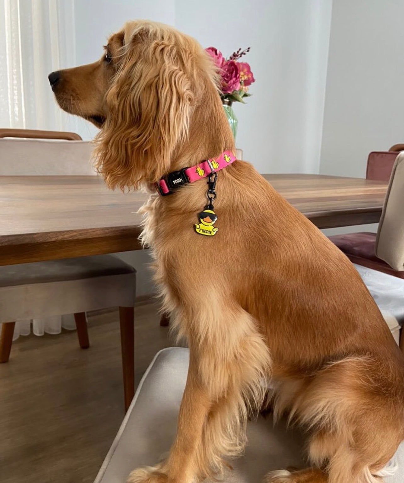 Pink Duck | Dog Collar