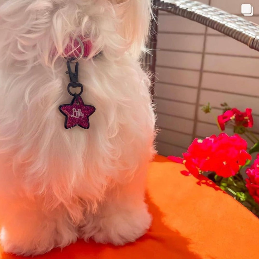 Fuşya Glitter Yıldız | İsimlik