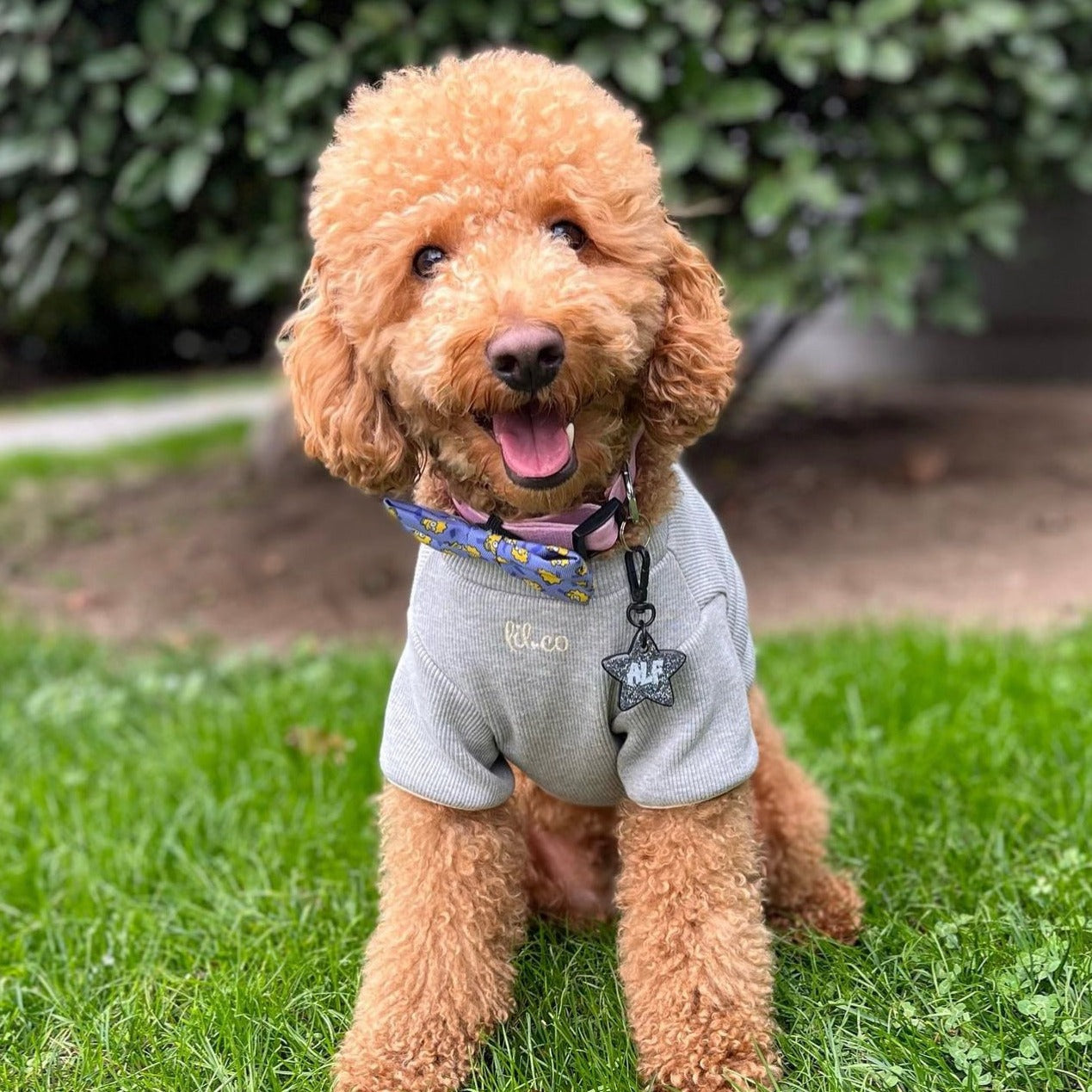 Gri Glitter Yıldız | İsimlik