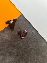 Labrador | Yaka Rozeti - Evcil hayvanlar için mükemmel bir ürün.