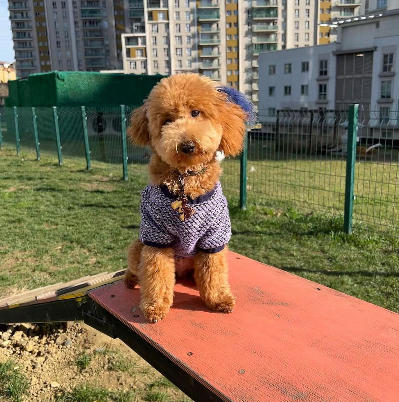 Gofret Harf Künyeler | Kedi Köpek İsimlik