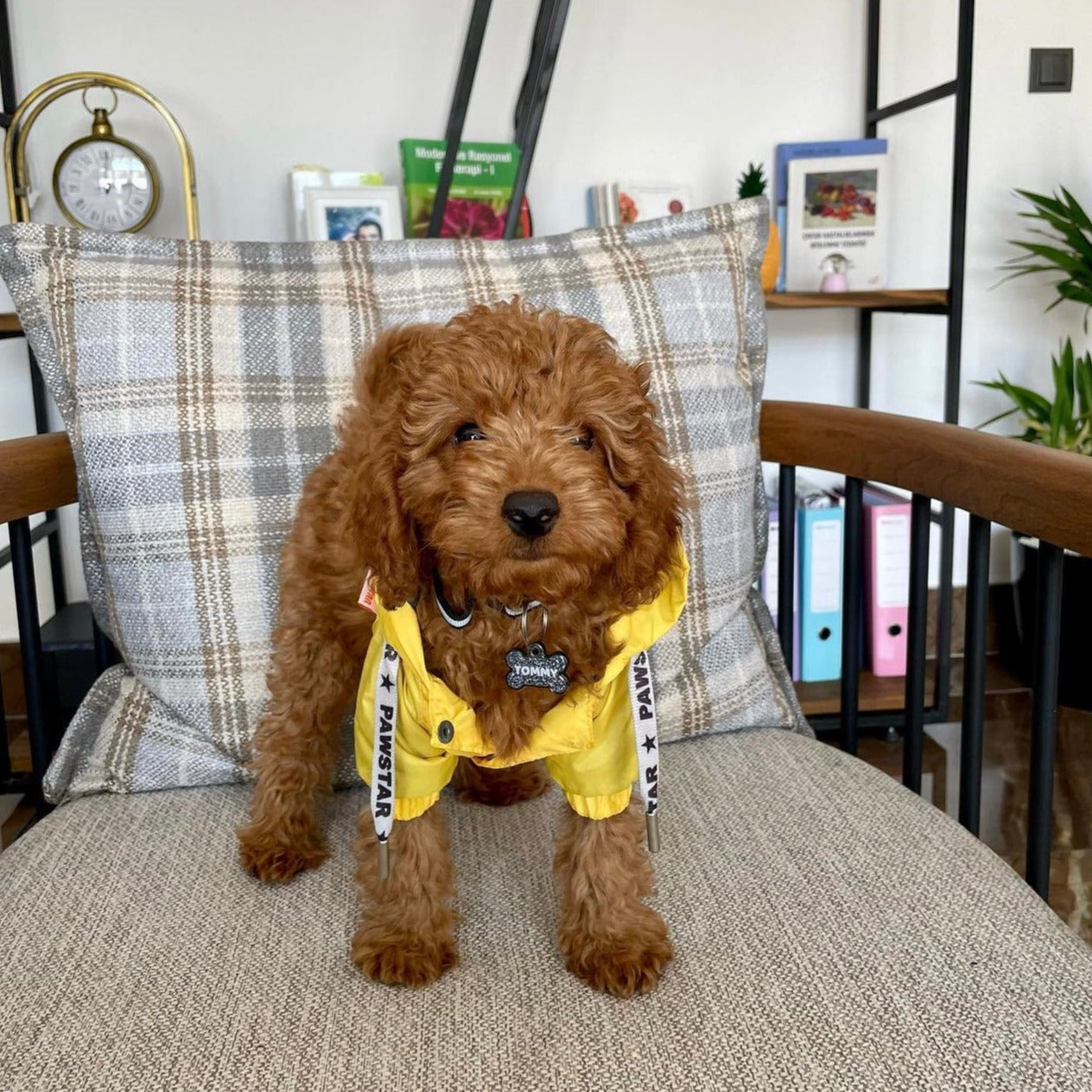 Gri Glitter Kemik | İsimlik