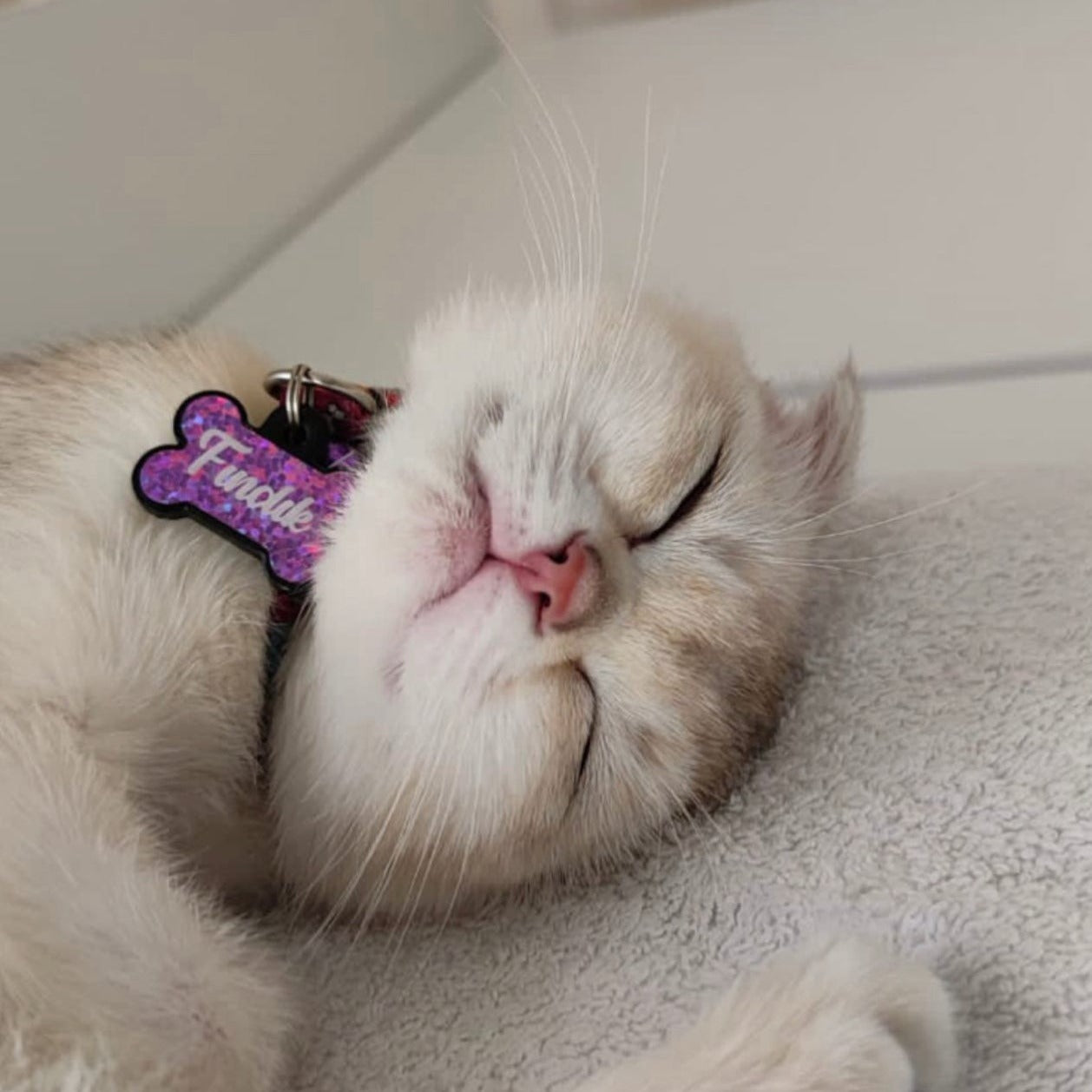 Mor Hologram Kemik | İsimlik