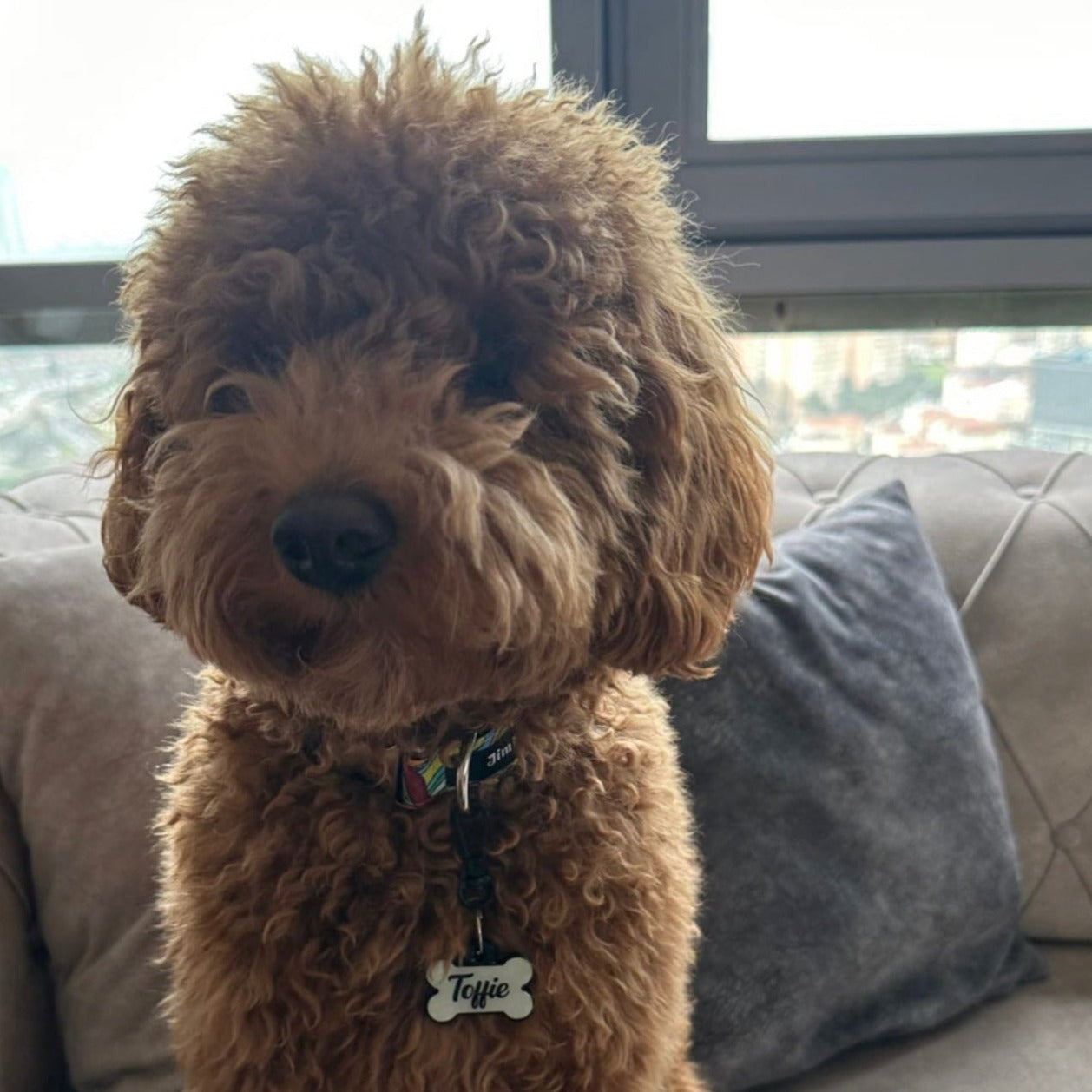 Lumi Kemik Fosforlu | İsimlik