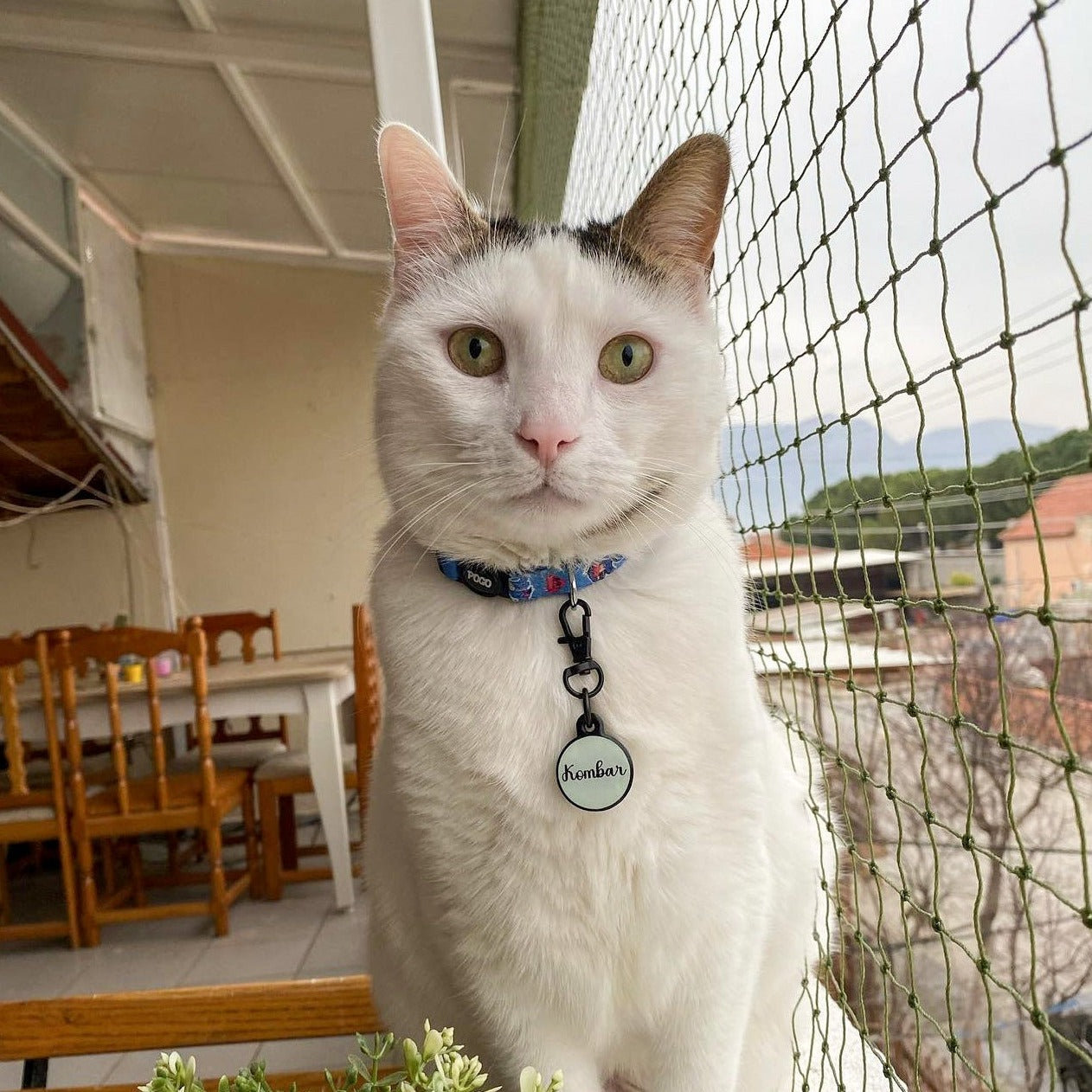 Eeyore | Kedi Tasması