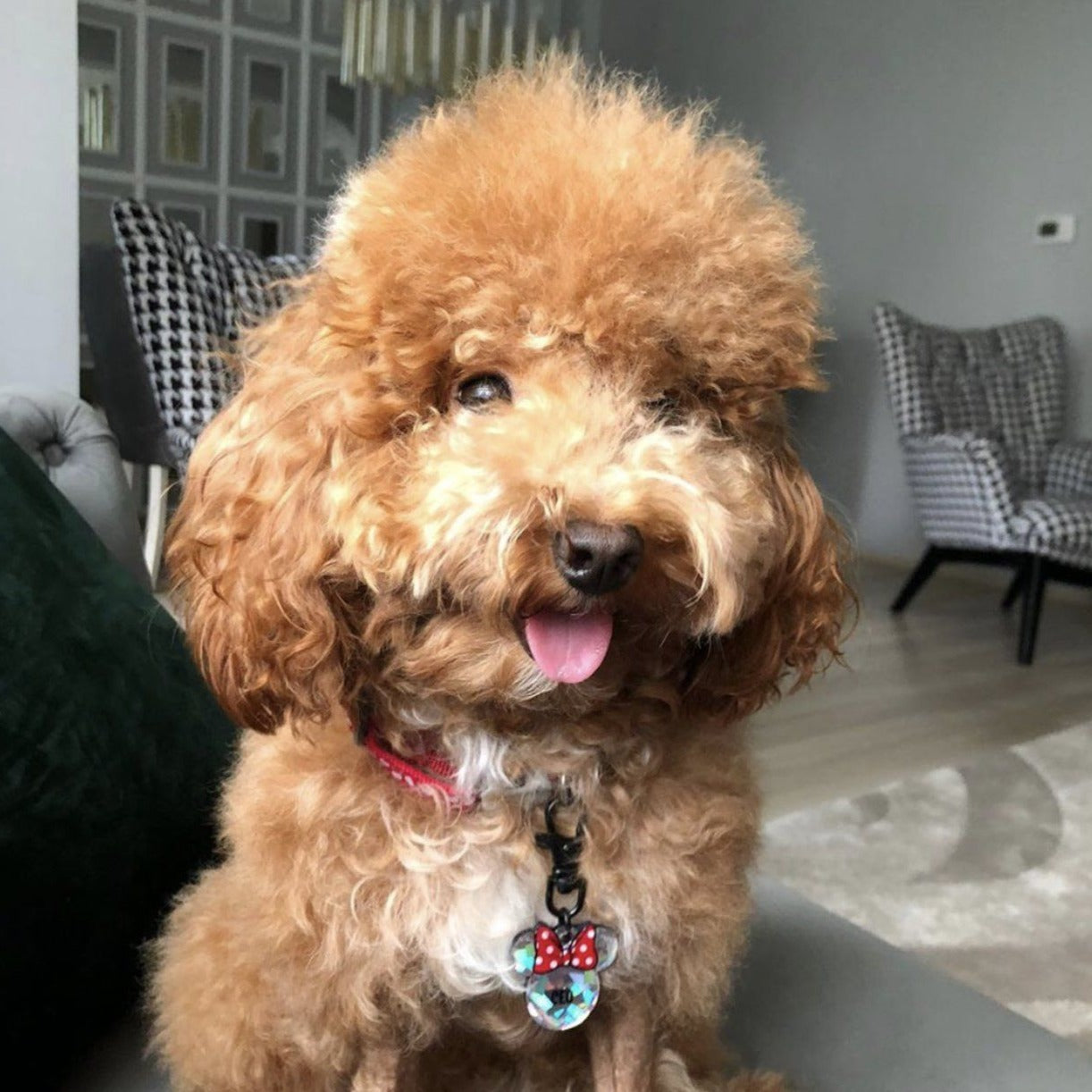 Minnie Hologram TFX TagsForever