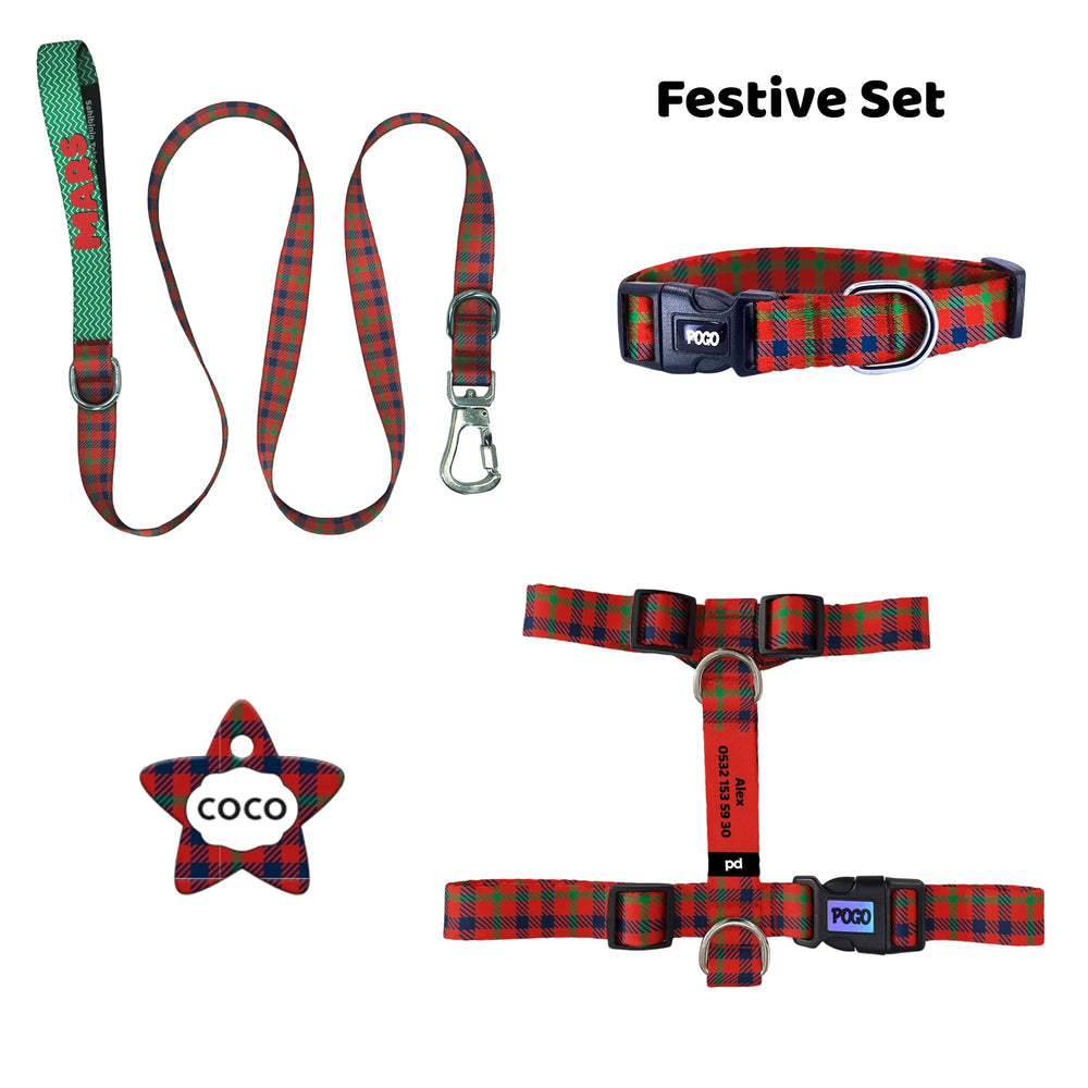 Festive | Tasma ve Künye Seti - Evcil hayvanlar için mükemmel bir ürün.