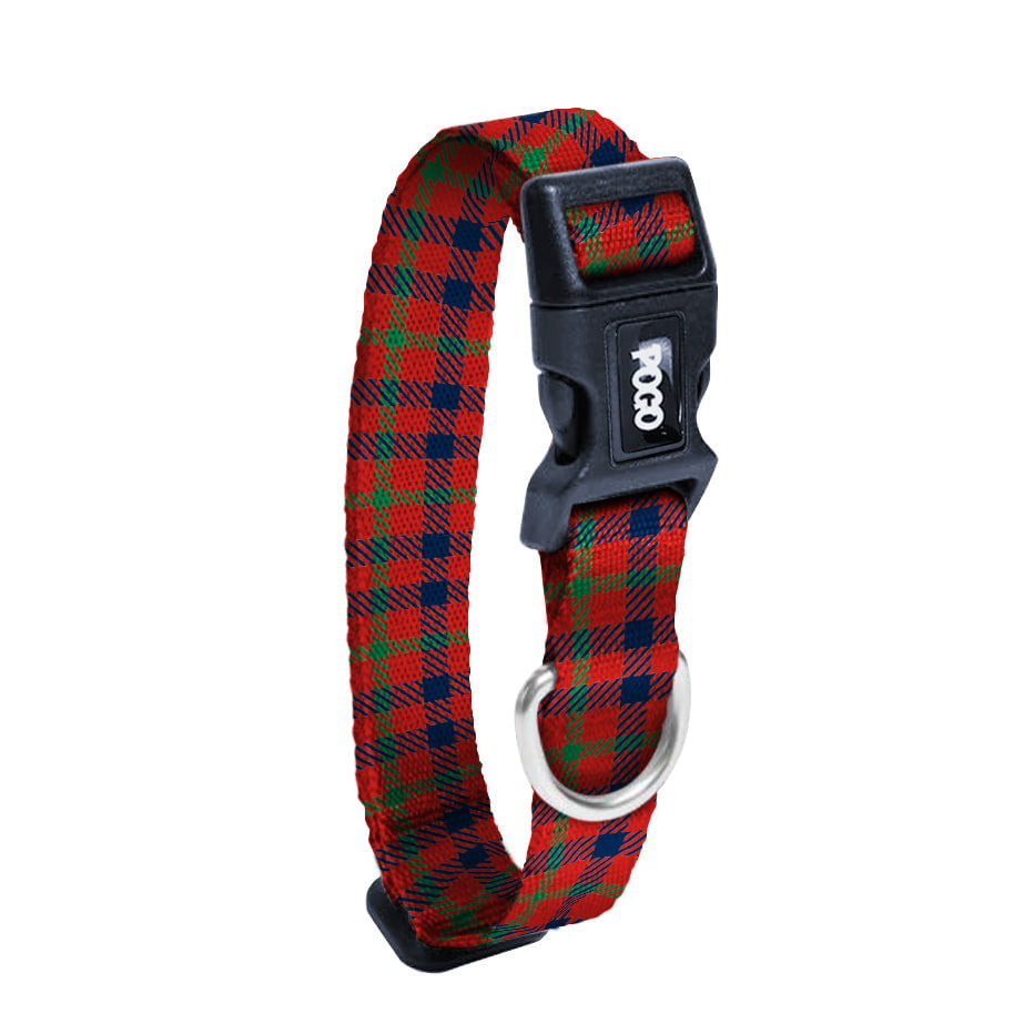 Festive | Dog Collar