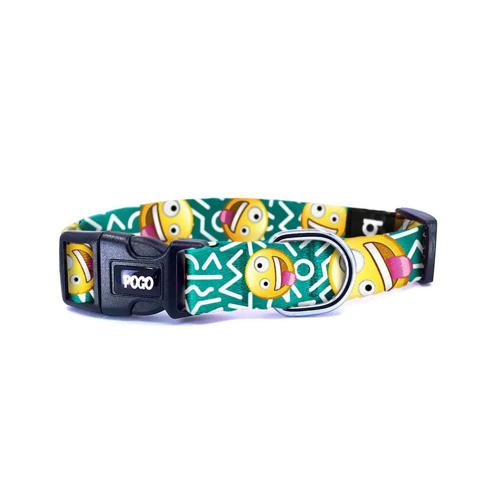 Crazy! | Dog Collar