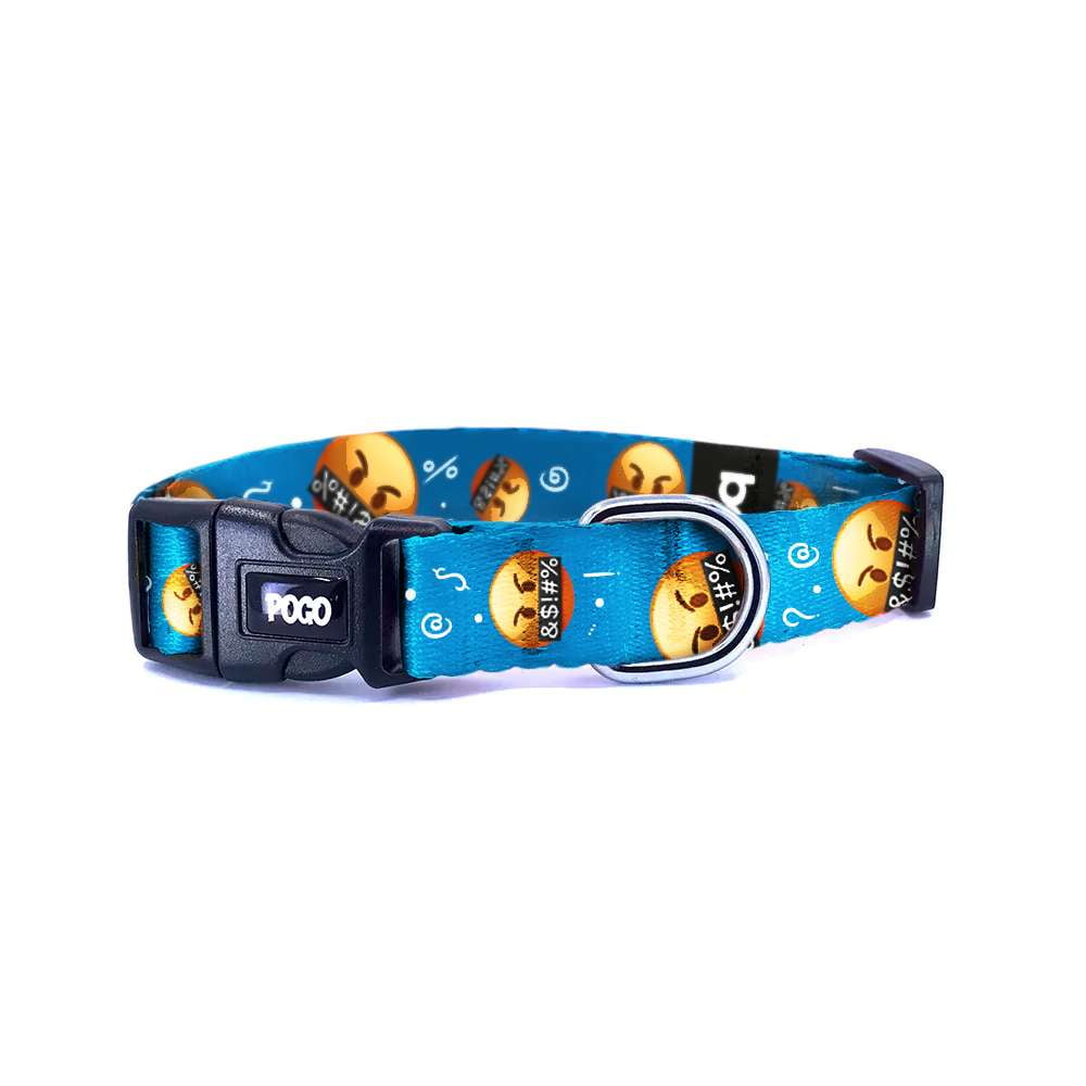 Spunky | Dog Collar