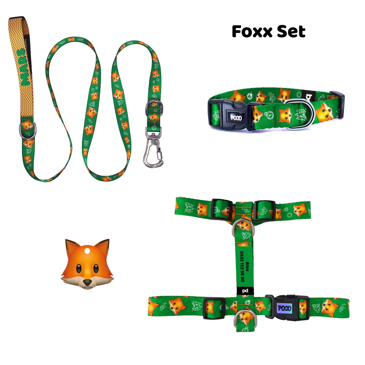 Foxx | Tasma ve Künye Seti - Evcil hayvanlar için mükemmel bir ürün.