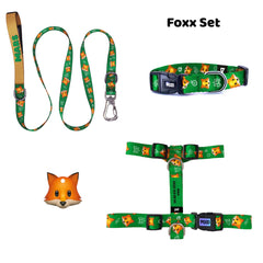 Foxx | Tasma ve Künye Seti - Evcil hayvanlar için mükemmel bir ürün.