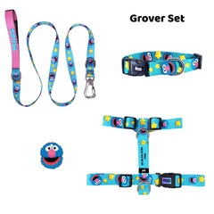 Grover | Tasma ve Künye Seti - Evcil hayvanlar için mükemmel bir ürün.