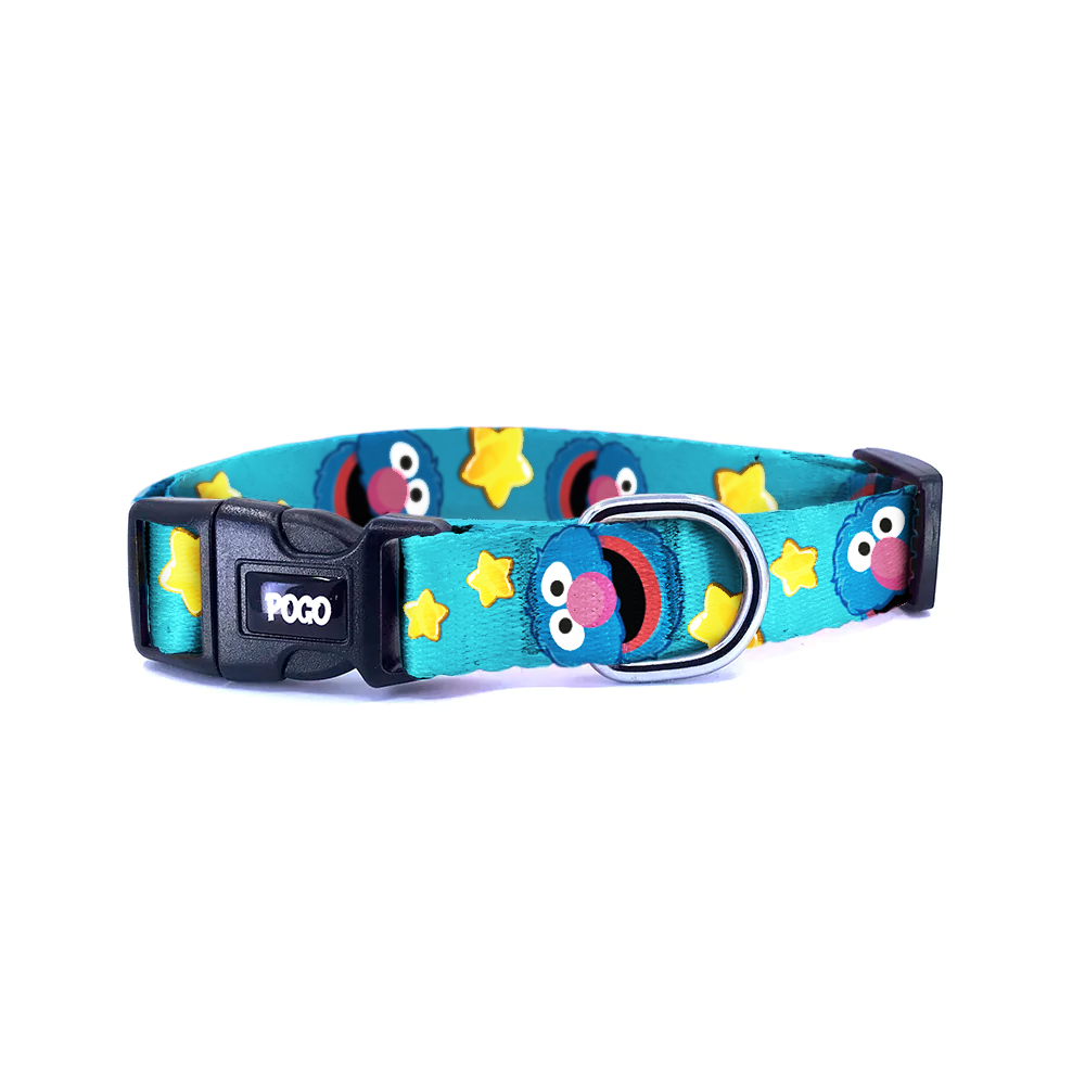Grover | Dog Collar