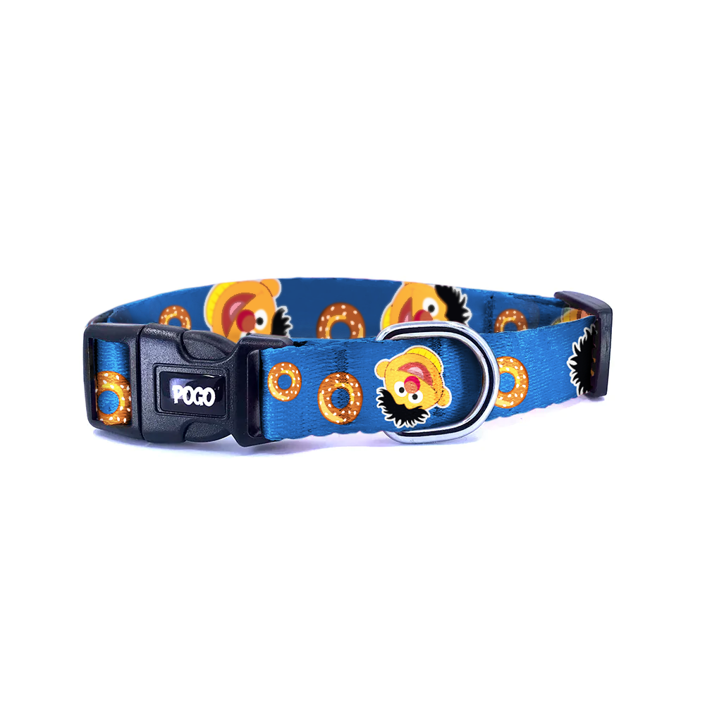 Edi | Dog Collar