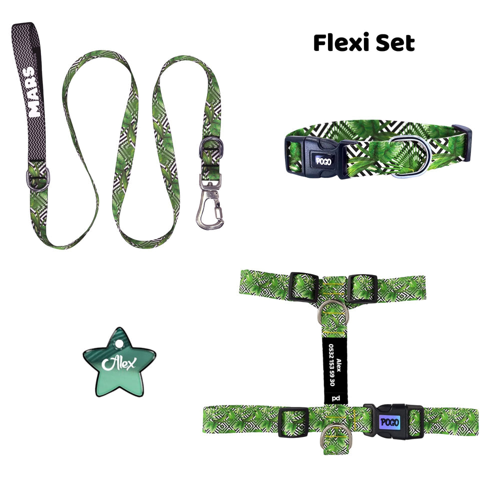 Flexi | Tasma ve Künye Seti - Evcil hayvanlar için mükemmel bir ürün.