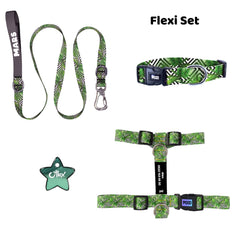 Flexi | Tasma ve Künye Seti - Evcil hayvanlar için mükemmel bir ürün.