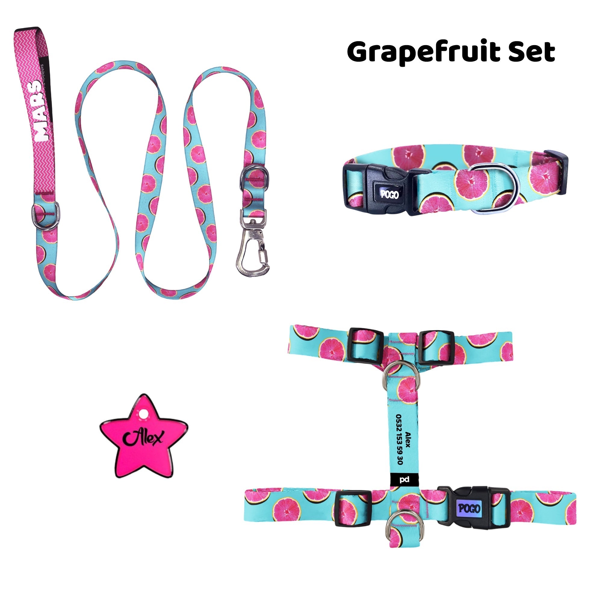 Grapefruit | Tasma ve Künye Seti - Evcil hayvanlar için mükemmel bir ürün.