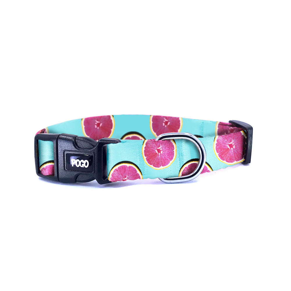 Grapefruit | Dog Collar