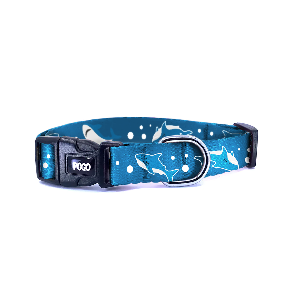 Sharky | Dog Collar
