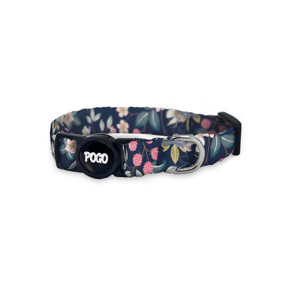 Zinnia | Cat Collar - Best collars for all cats