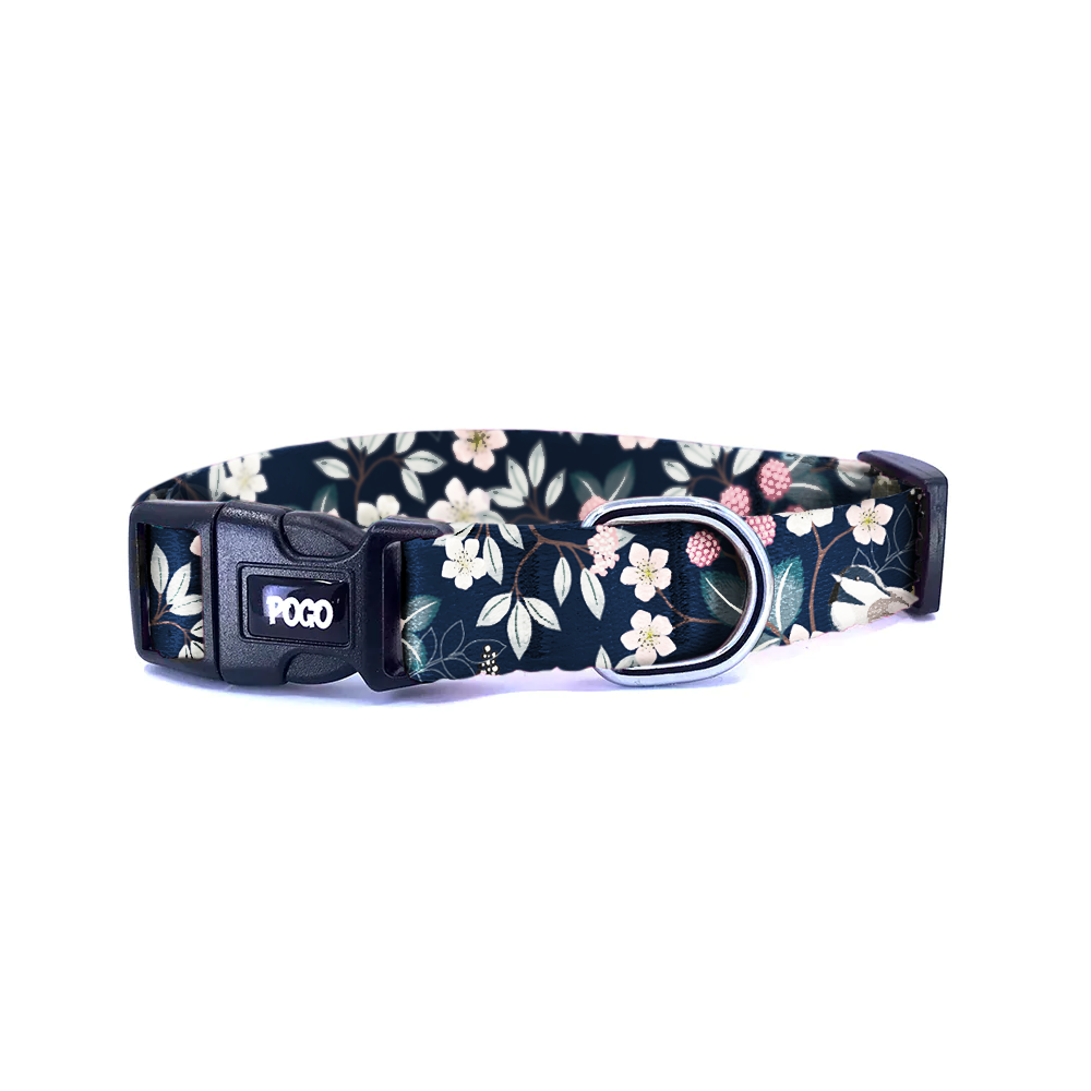 Zinnia | Dog Collar
