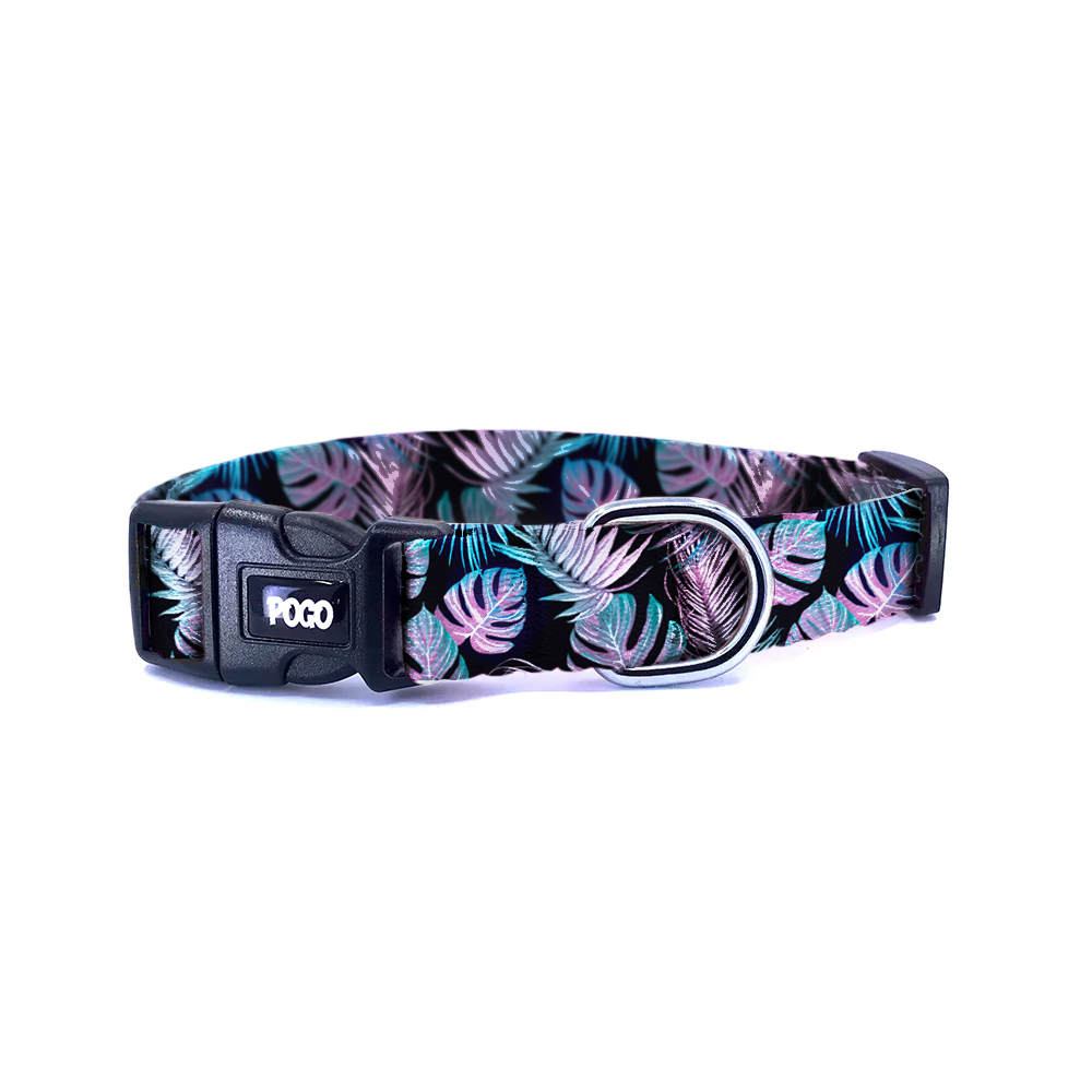 Glow Garden | Dog Collar
